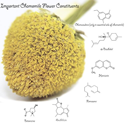 Chamomile Tea 1LB (16 Ounce)