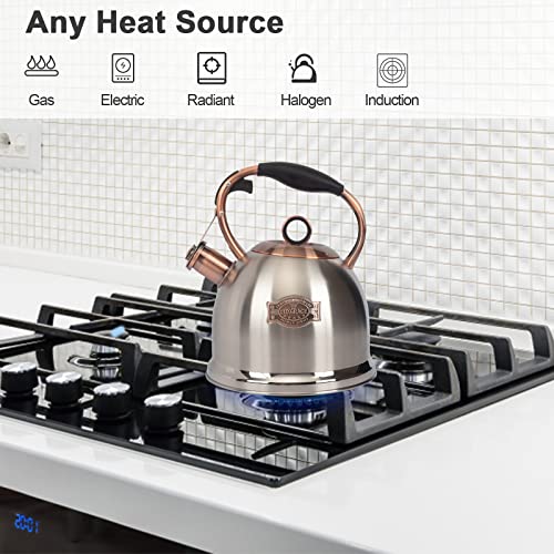 Whistling Stovetop Tea Kettle Food Grade Stainless Steel