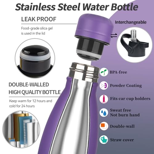 Insulated Water Bottle (2 Count)