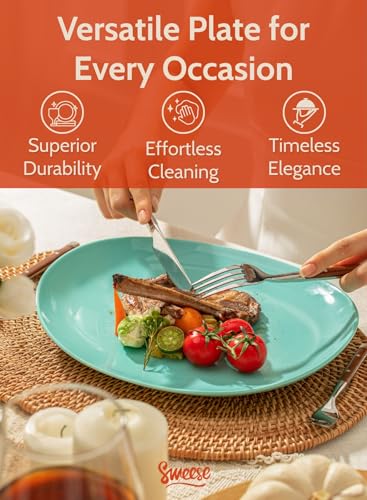 Porcelain Dinner Plates (6 Count)