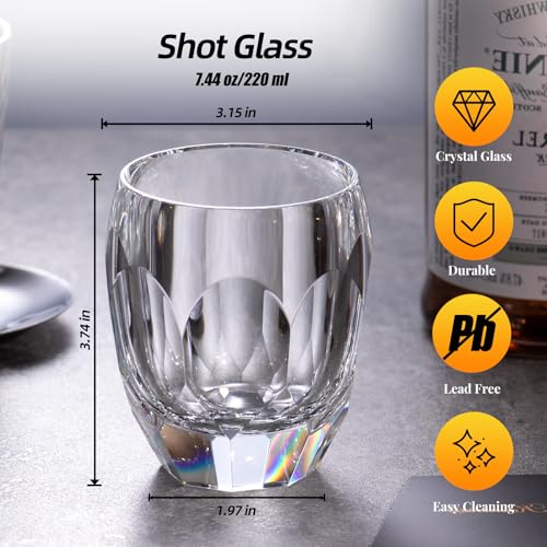 Crystal Whiskey Glasses Set of 2 Old Fashioned Glasses Stemless (2 Count)