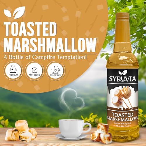 Coffee Syrup Toasted Marshmallow Flavored Syrup for Drinks (25.4 Fl Oz)