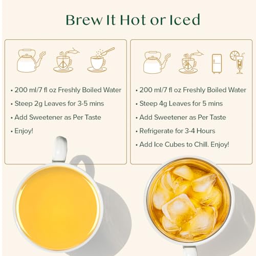 Turmeric Ginger Cinnamon Tea Bags with Black Pepper (100 Count)