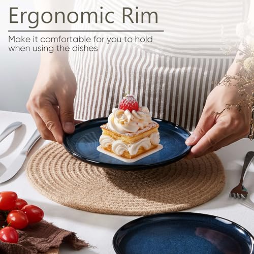 4 Piece Stoneware Small Dinner Plates Set