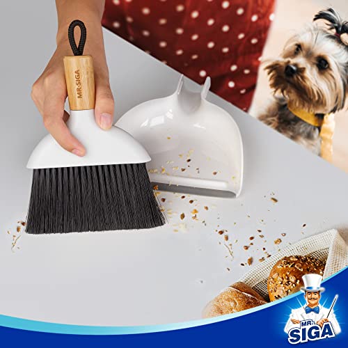Mini Dustpan and Brush Set