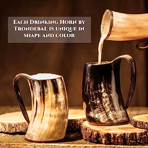 Viking Drinking Horn Mug