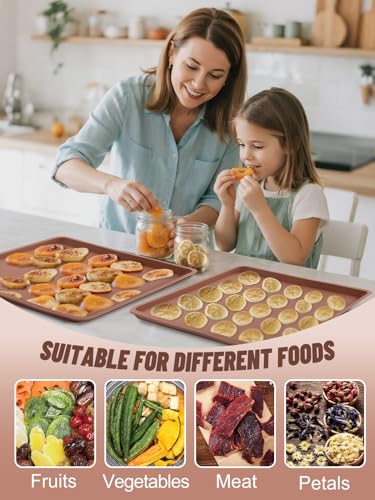 4PCS Silicone Food Dehydrator Sheets with Edge