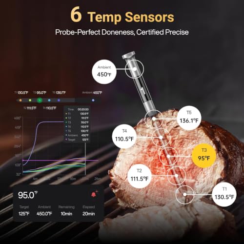 Wireless Meat Thermometer with Smart WiFi Connectivity (2 Count)