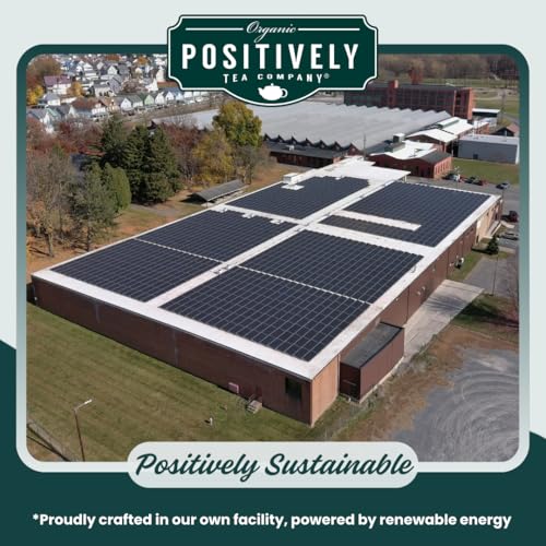 Positively Tea (16 Ounce)
