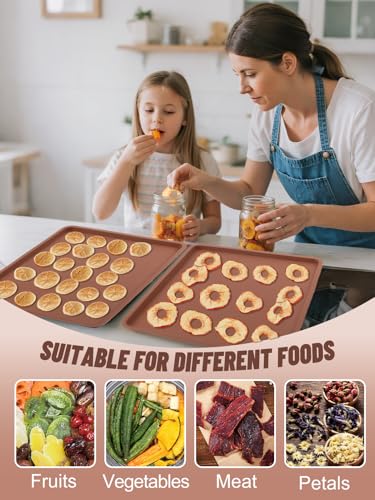 6Pcs Silicone Food Dehydrator Sheets with Edge (6 Count)