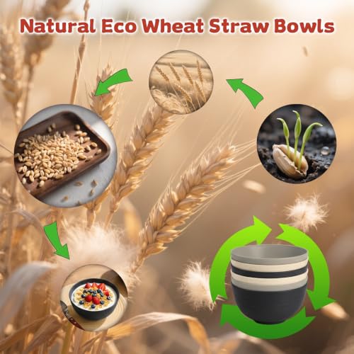 26oz Cereal Bowls Set of 6