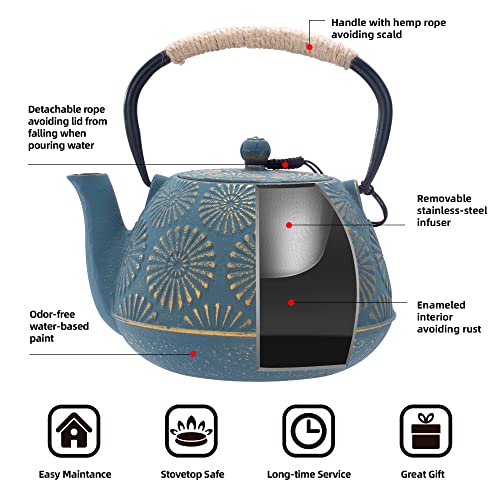 Cast Iron Teapot
