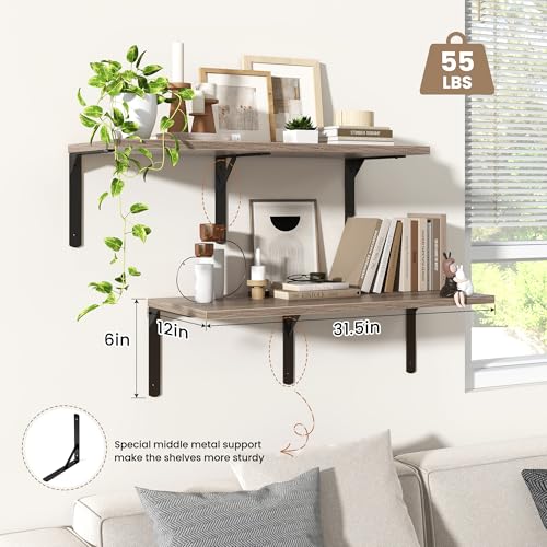 Floating Shelves for Wall (2 Count)