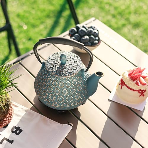 Cast Iron Teapot
