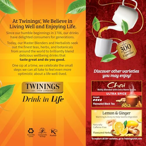 Chai Spiced Black Tea Bags (150 Count)