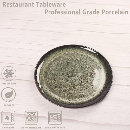 Ceramic Dinner Plates Dish Set (4 Count)