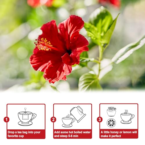 Hibiscus Tea Bags (80 Count)