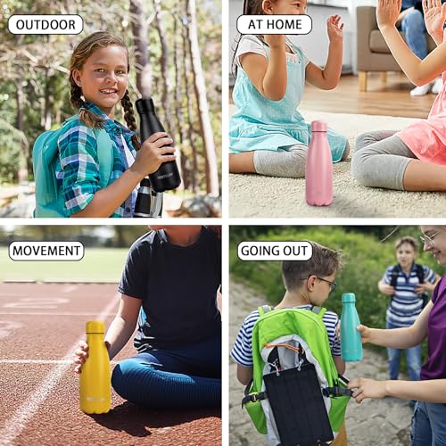 Insulated Water Bottle (2 Count)
