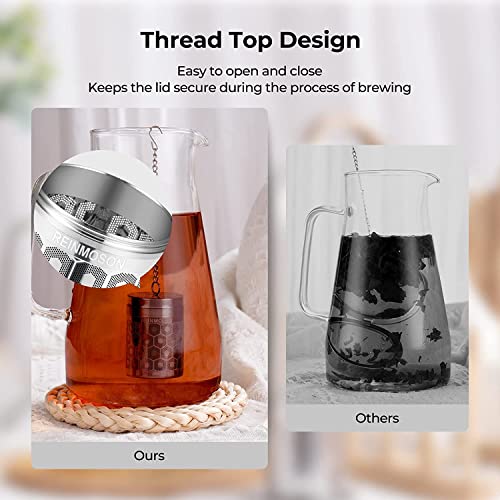 2 Pack Reinmoson 304 Stainless Steel Tea Infuser for Loose Leaf Tea Steeper (2 Count)
