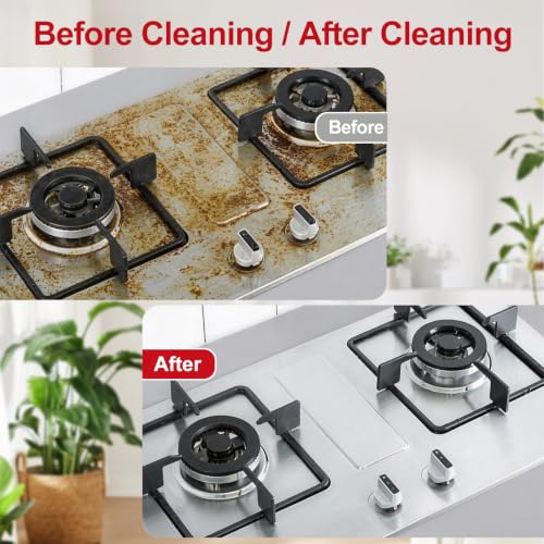 Steam Cleaner