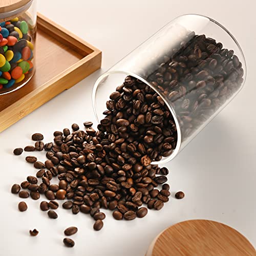 Glass Food Storage Containers with Lids (2 Count)