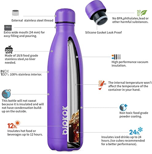 25 oz Insulated Water Bottle