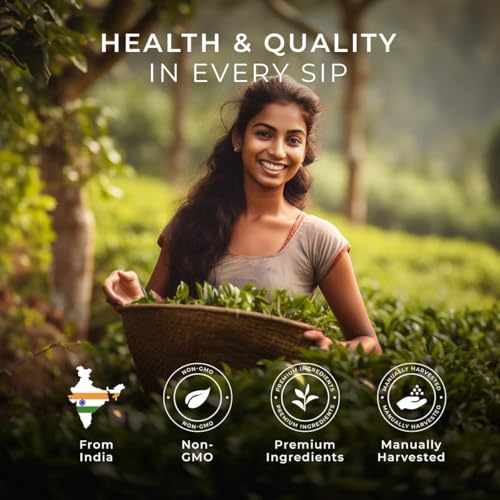 Vanilla Chai Tea Pod (16 Count)