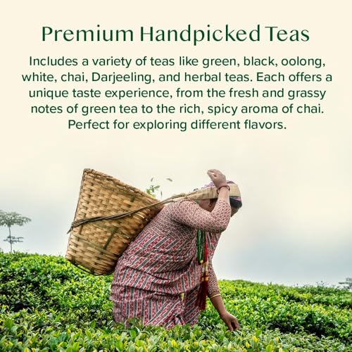 World Top 20 Favourites Tea Sampler Set (7.05 Ounce)