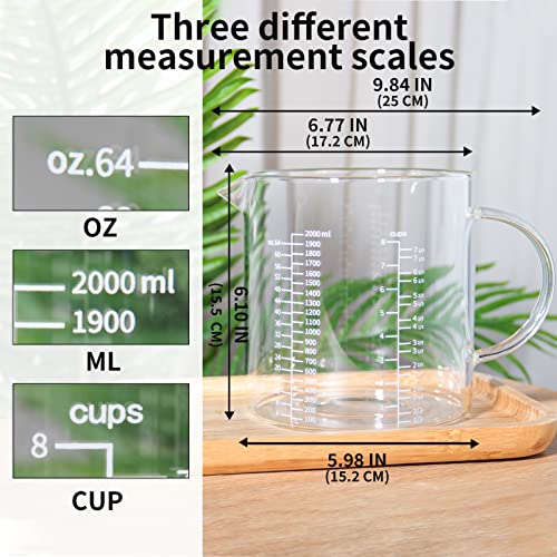 Glass Measuring Cup