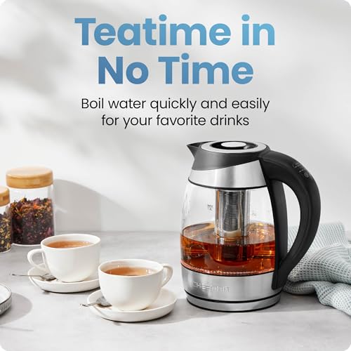 Electric Kettle with Temperature Control