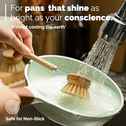 Bamboo Dish Brush Set • 6 Piece with Bottle Brush & Scrubber (6 Count)