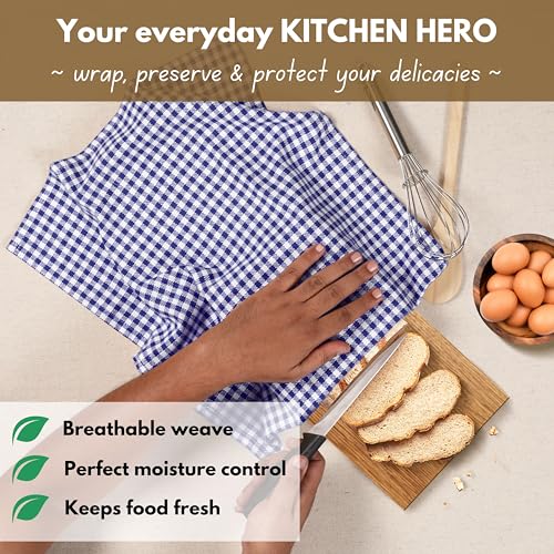 Gingham Dish Towels 16x26 inches Set of 4