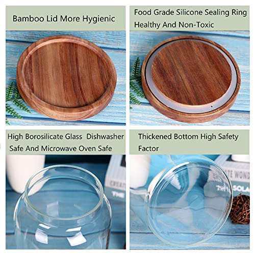 1 Gallon Glass Jar with Airtight Lid and Anti