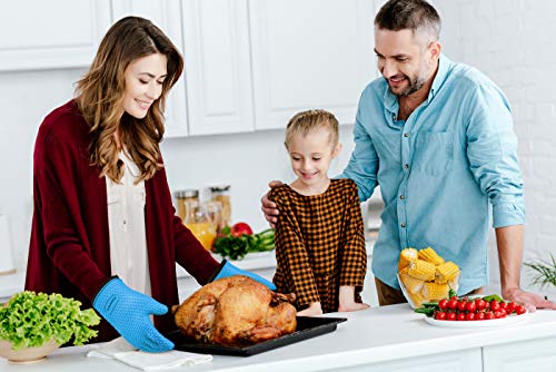 Silicone Smoker Oven Gloves