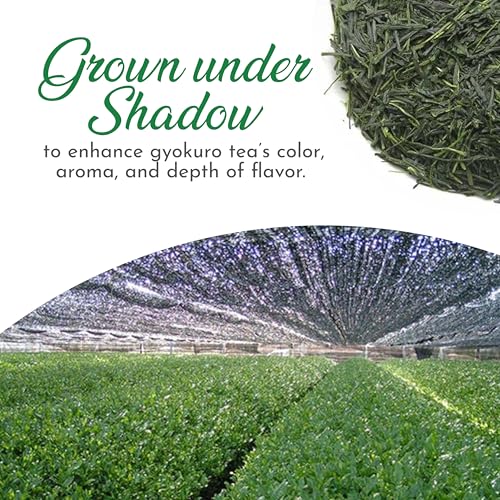 Premium Gyokuro Japanese Green Tea finest green tea loose leave tea (4 Ounce)