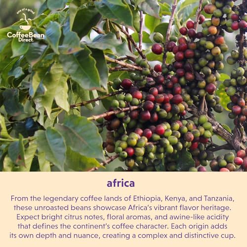 Unroasted Ethiopian Yirgacheffe (80 Ounce)