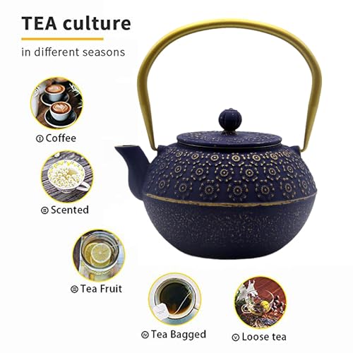 33.8oz Small Cast Iron Tea Kettle for Stovetop