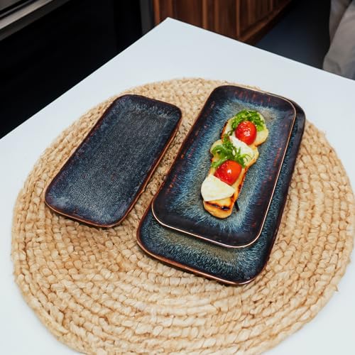 Porcelain Dinner Plates Platters Set of 2 (2 Count)