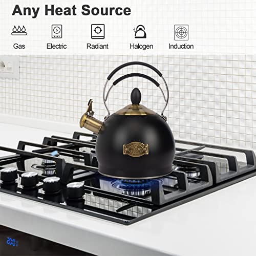 Whistling Tea Kettle Stainless Steel Teapot