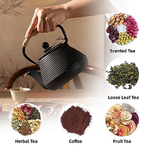 Cast Iron Teapot