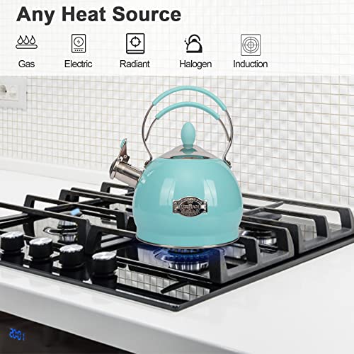 Whistling Tea Kettle Stainless Steel Teapot