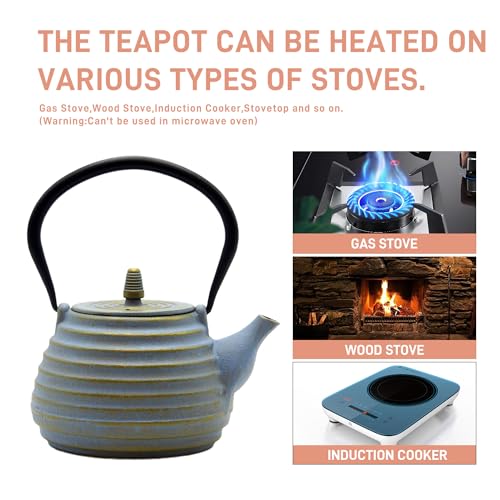 33.8oz Cast Iron Teapot for Stovetop