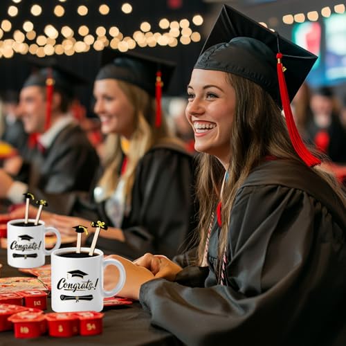 120Pcs Graduation Coffee Stirrers 2026 Grad Black Hat Diploma Disposable Stir Sticks Wooden Drink Stirrers for Home Office Bar Restaurant Party Supplies
