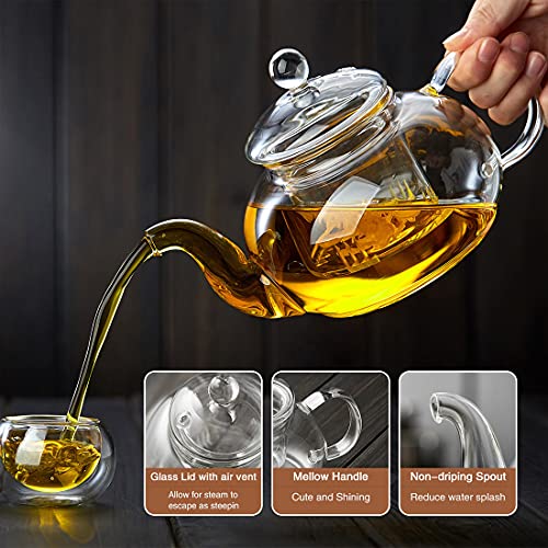 Glass Teapot with Removable Clear Infuser