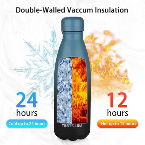 Insulated Water Bottle (2 Count)