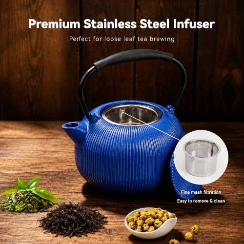 Cast Iron Teapot Set with 2 Cups