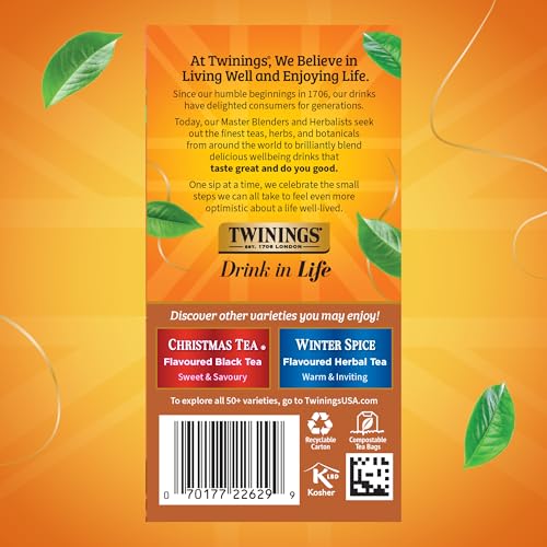 Gingerbread Joy Holiday Black Tea Bags (120 Count)