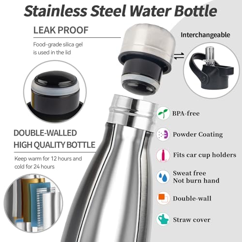 Insulated Water Bottle (2 Count)
