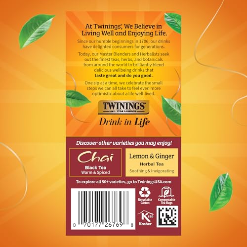 Pumpkin Spice Chai Black Spicy Tea Bags (120 Count)