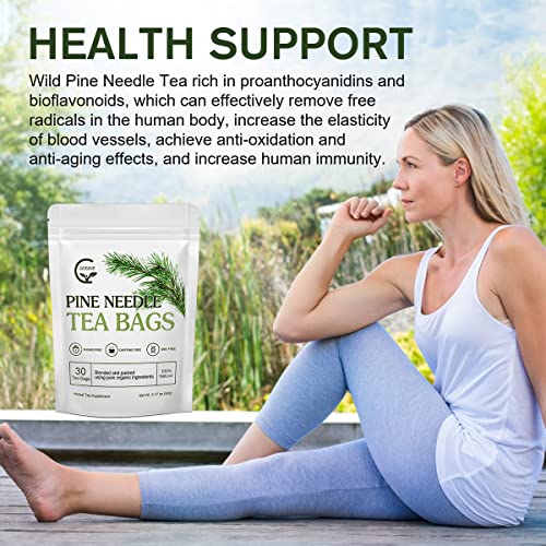 Organic Pine Needle Tea Bags (30 Count)